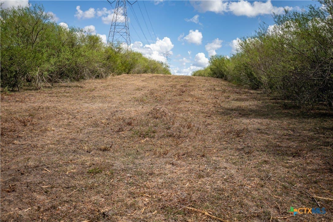 55 acres in DeWitt County - photo 35