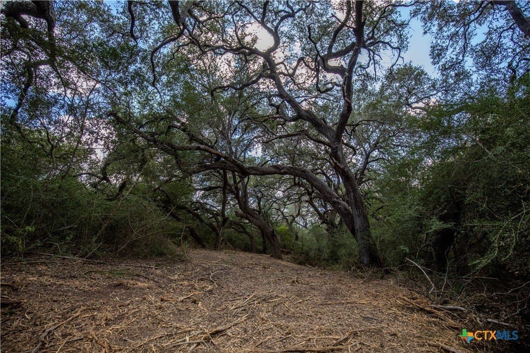 55 acres in DeWitt County - photo 30