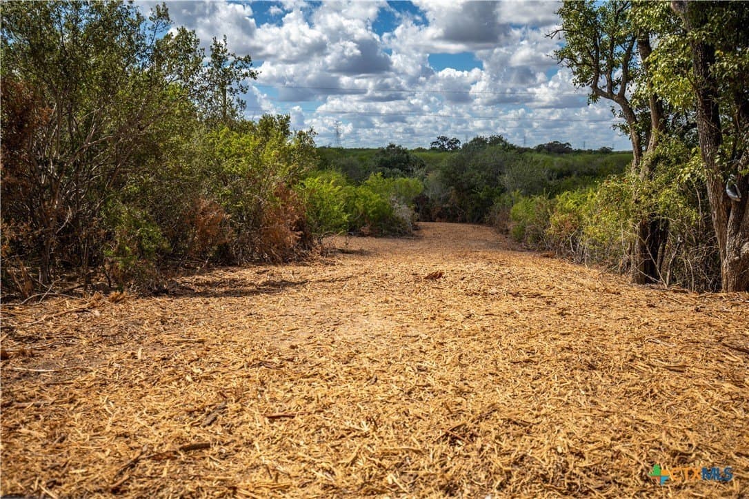 55 acres in DeWitt County - photo 20