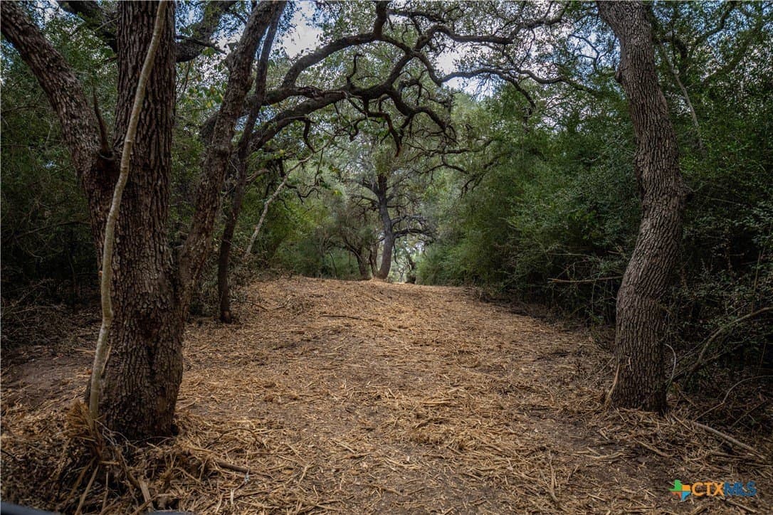 55 acres in DeWitt County - photo 31
