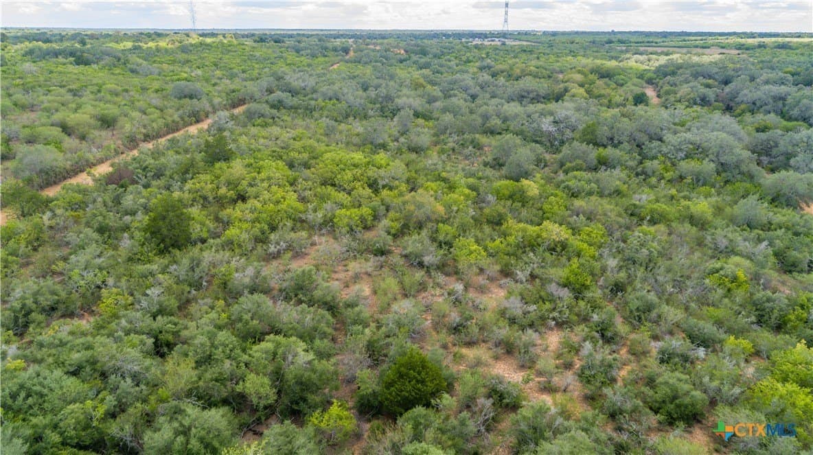 55 acres in DeWitt County - photo 6