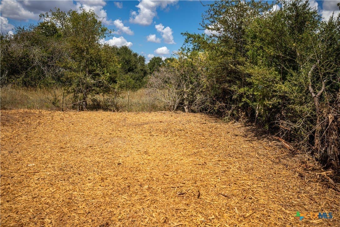 55 acres in DeWitt County - photo 18