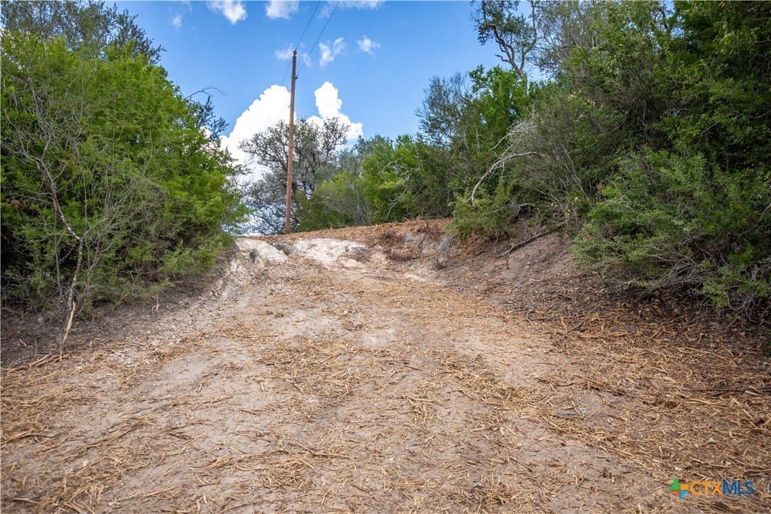 55 acres in DeWitt County - photo 24
