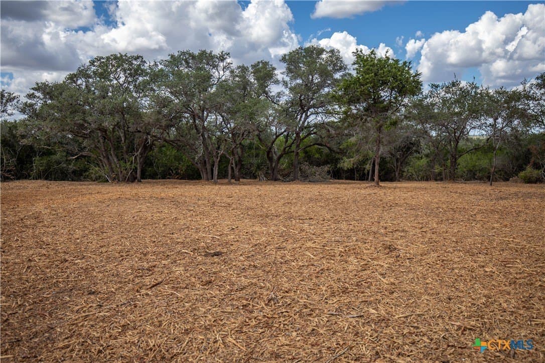 55 acres in DeWitt County - photo 44
