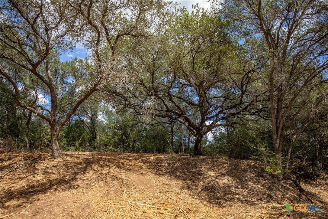 55 acres in DeWitt County - photo 15