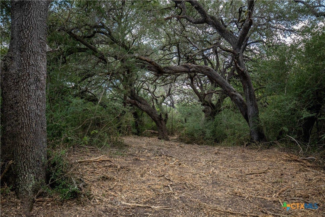 55 acres in DeWitt County - photo 29
