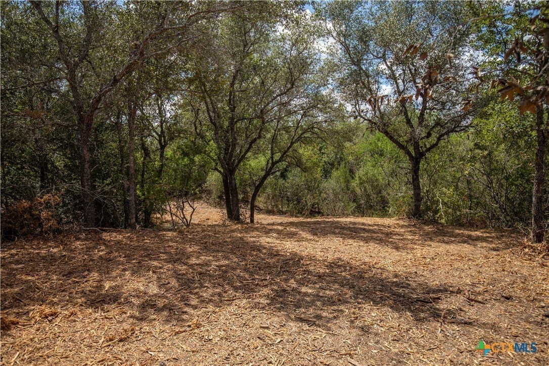 55 acres in DeWitt County - photo 37