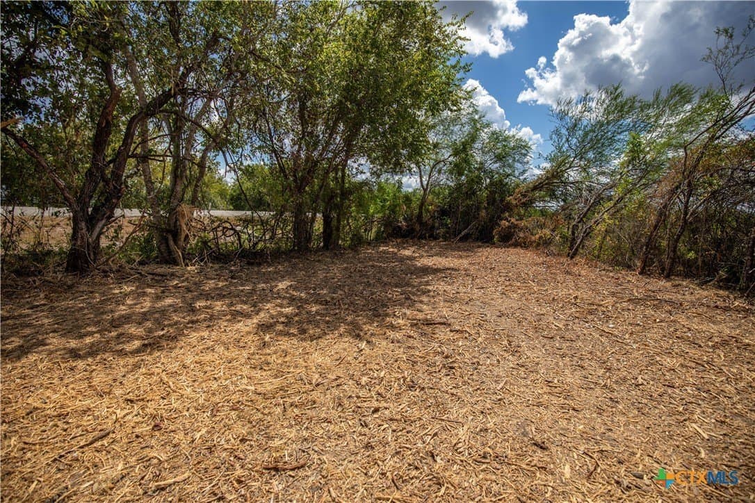 55 acres in DeWitt County - photo 39