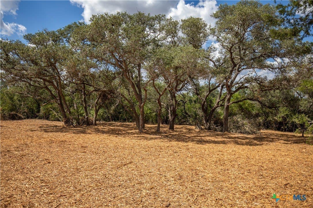 55 acres in DeWitt County - photo 45