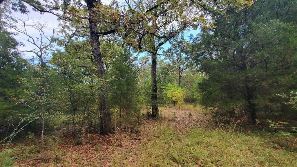0.37 acres in Henderson County - photo 13