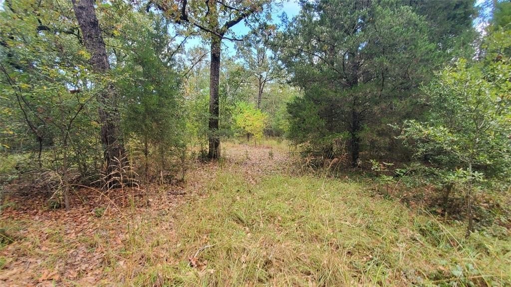 0.37 acres in Henderson County - photo 12
