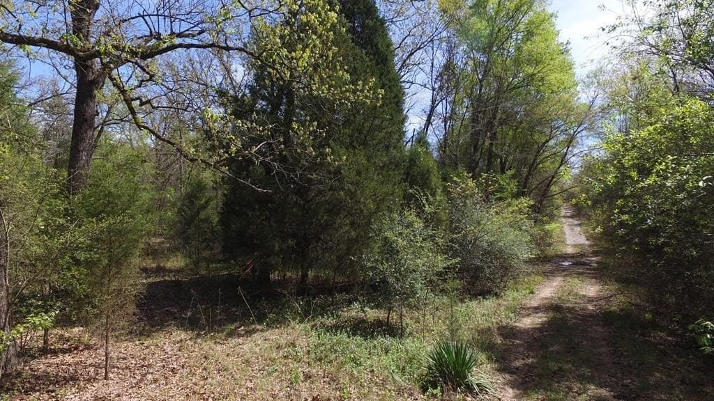 0.37 acres in Henderson County - photo 4