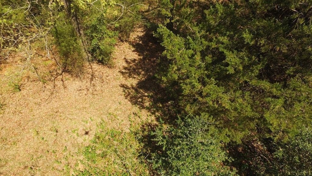 0.37 acres in Henderson County - photo 5