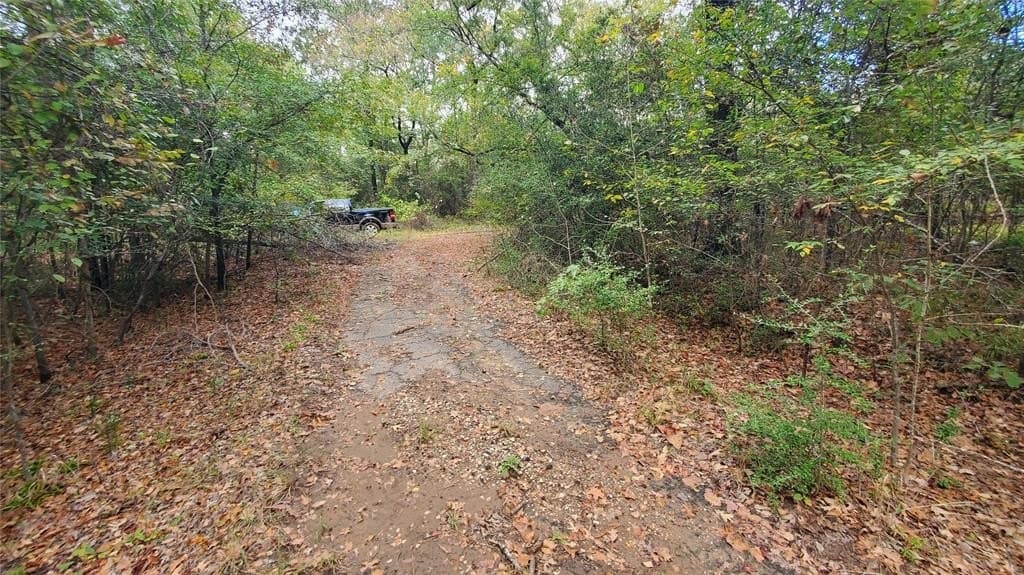 0.37 acres in Henderson County - photo 7