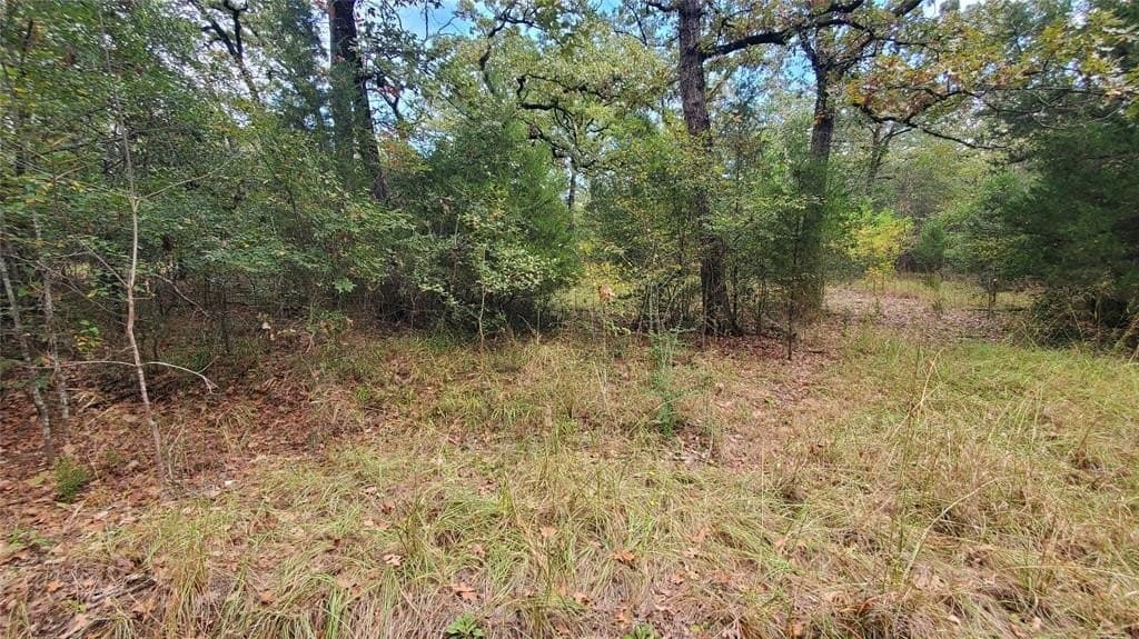 0.37 acres in Henderson County - photo 9