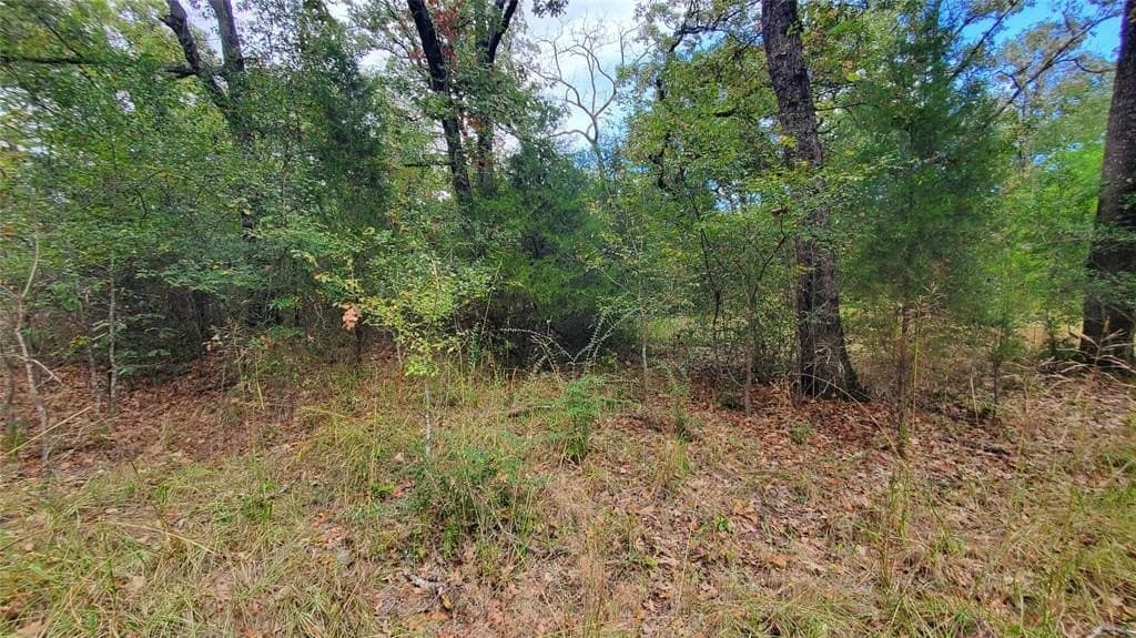 0.37 acres in Henderson County - photo 15