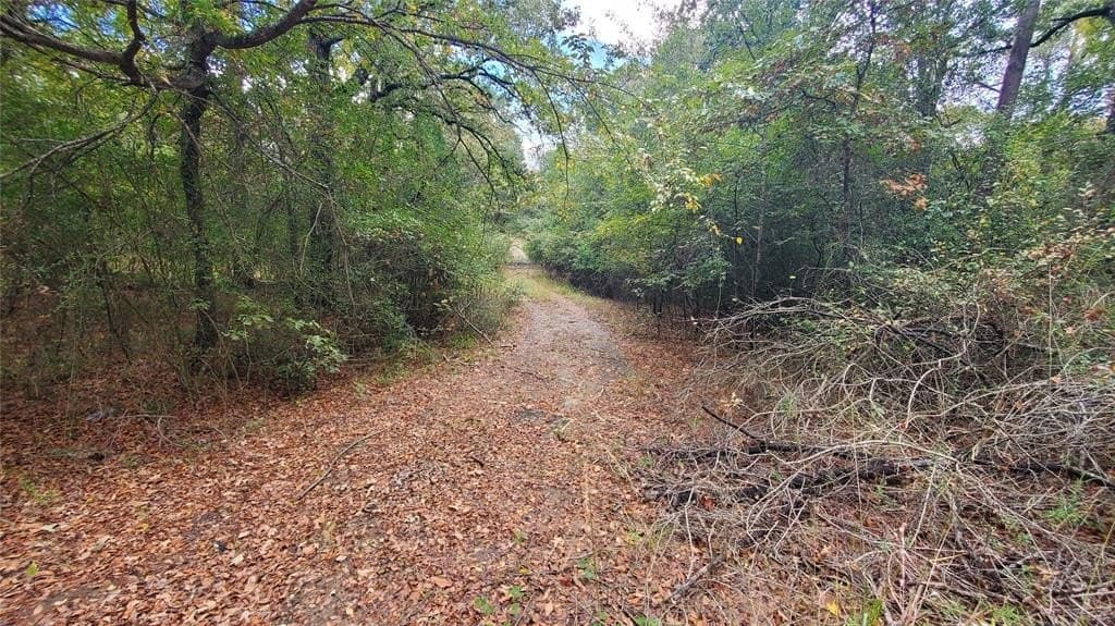 0.37 acres in Henderson County - photo 6