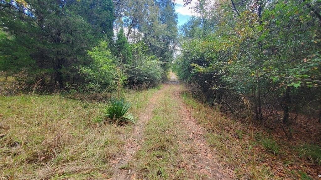 0.37 acres in Henderson County - photo 11