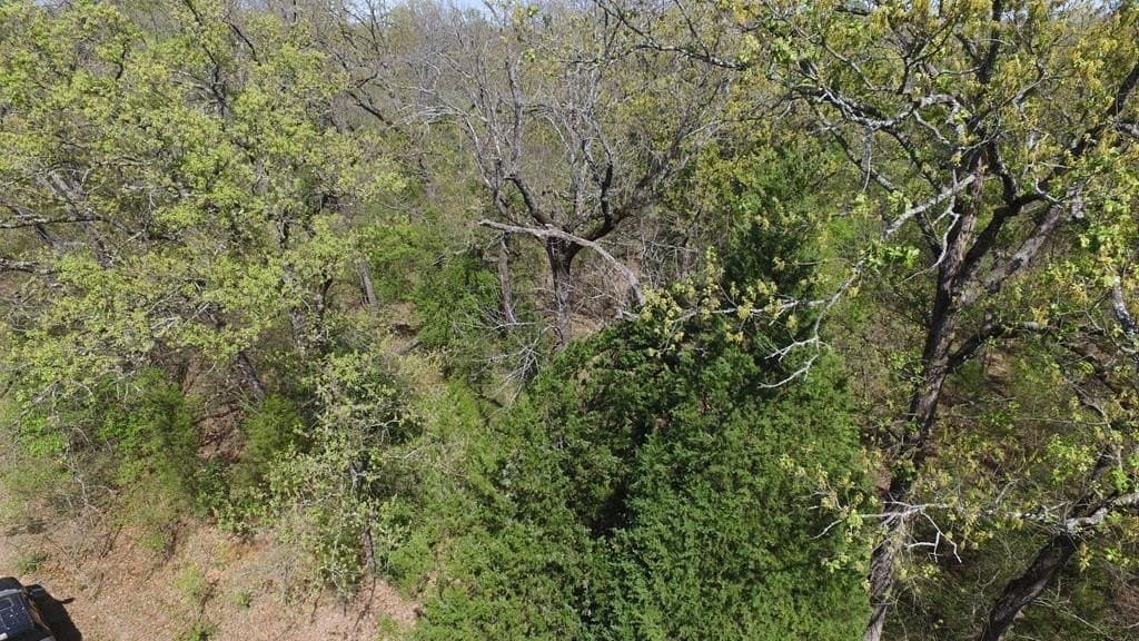 0.37 acres in Henderson County - photo 18