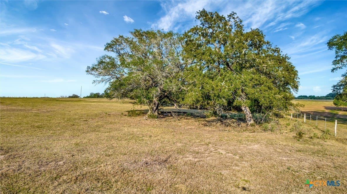36.8 acres in Lavaca County - photo 8