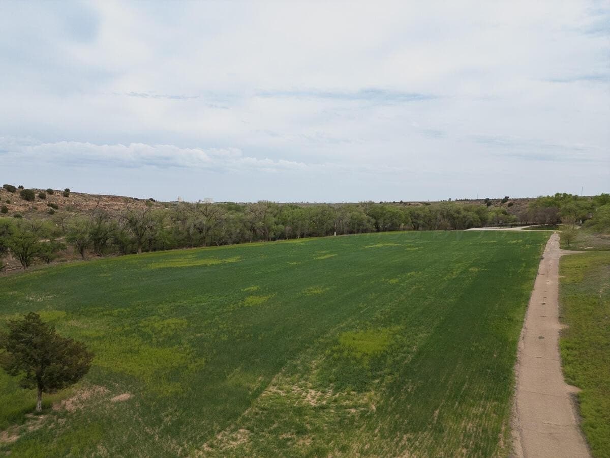 72 acres in Randall County - photo 42