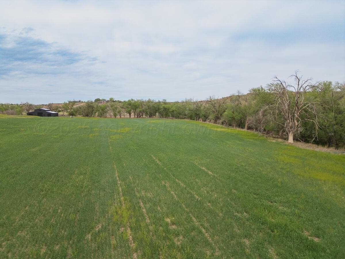 72 acres in Randall County - photo 41