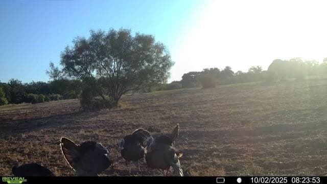 166.46 acres in Brown County - photo 17