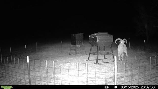 166.46 acres in Brown County - photo 15