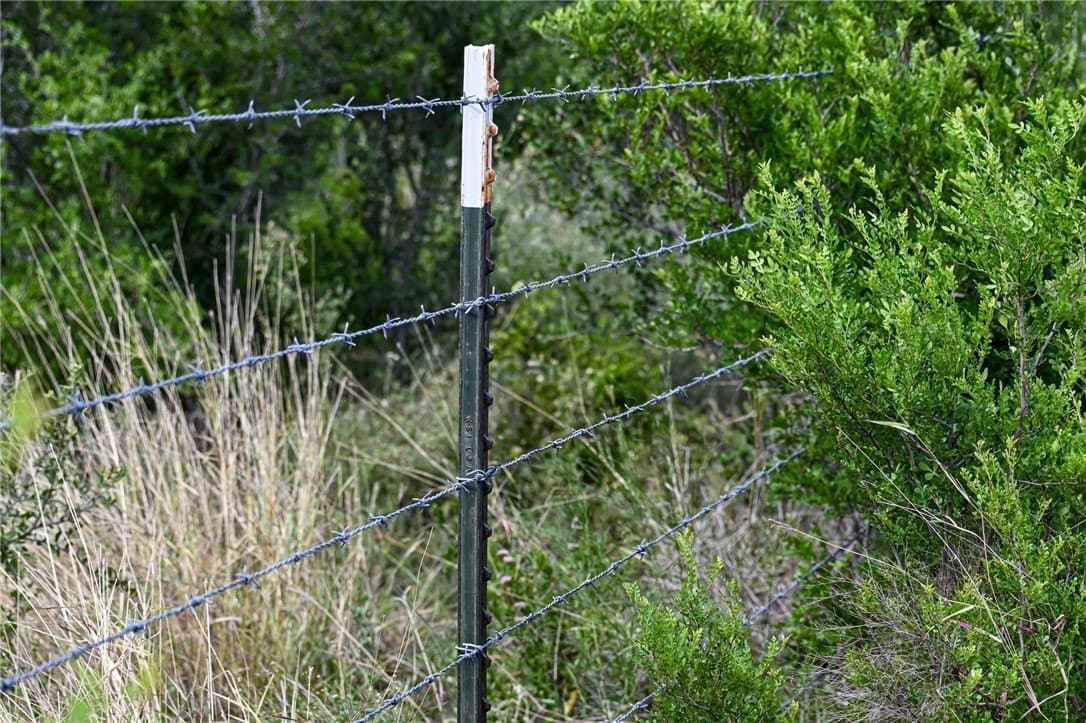 80 acres in Live Oak County - photo 24