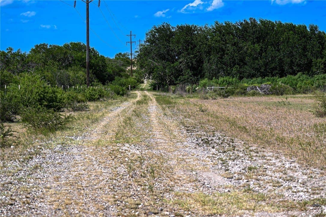 80 acres in Live Oak County - photo 30