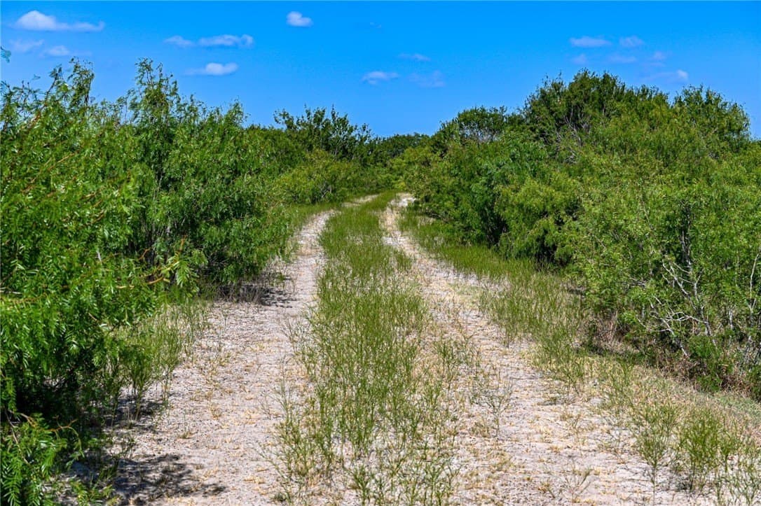 80 acres in Live Oak County - photo 34