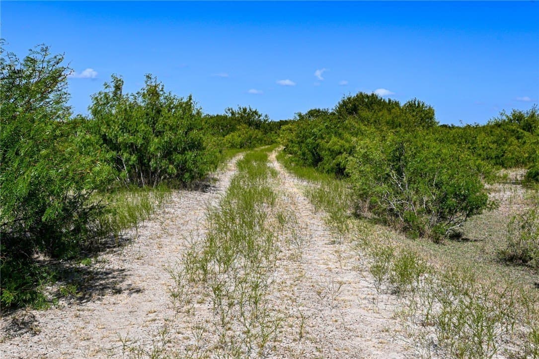 80 acres in Live Oak County - photo 35