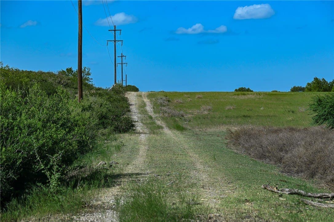 80 acres in Live Oak County - photo 37