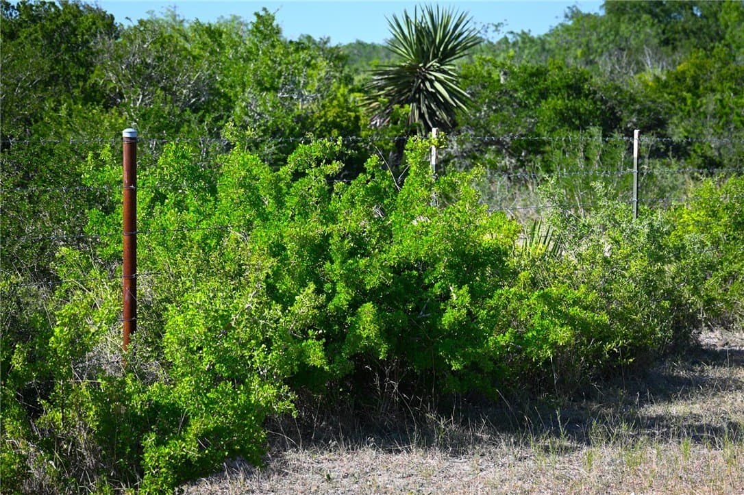 80 acres in Live Oak County - photo 36
