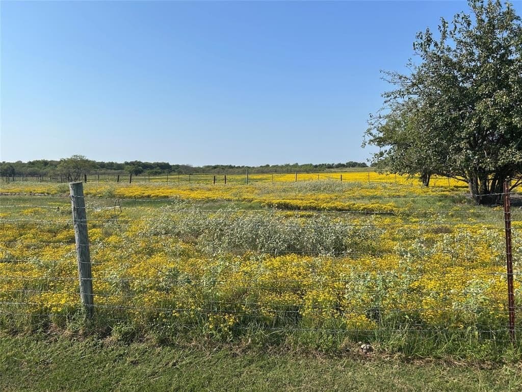 5 acres in Kaufman County - photo 4