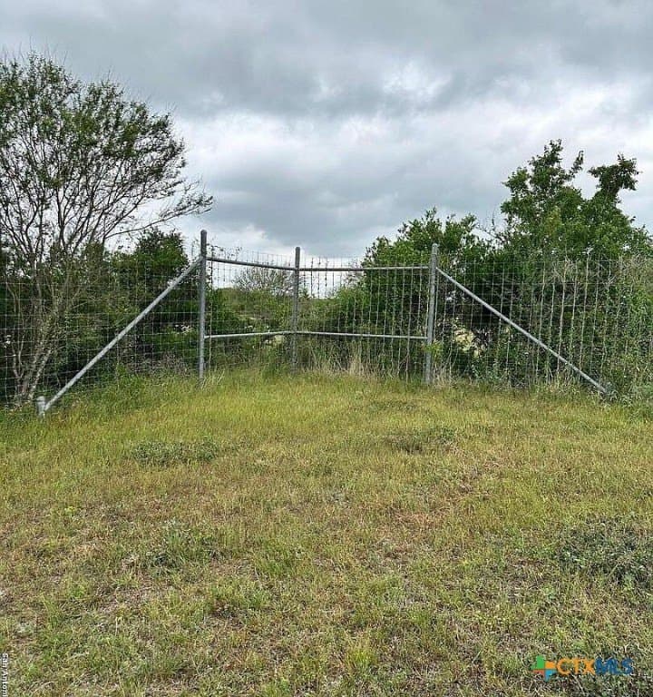 160 acres in Bee County - photo 19