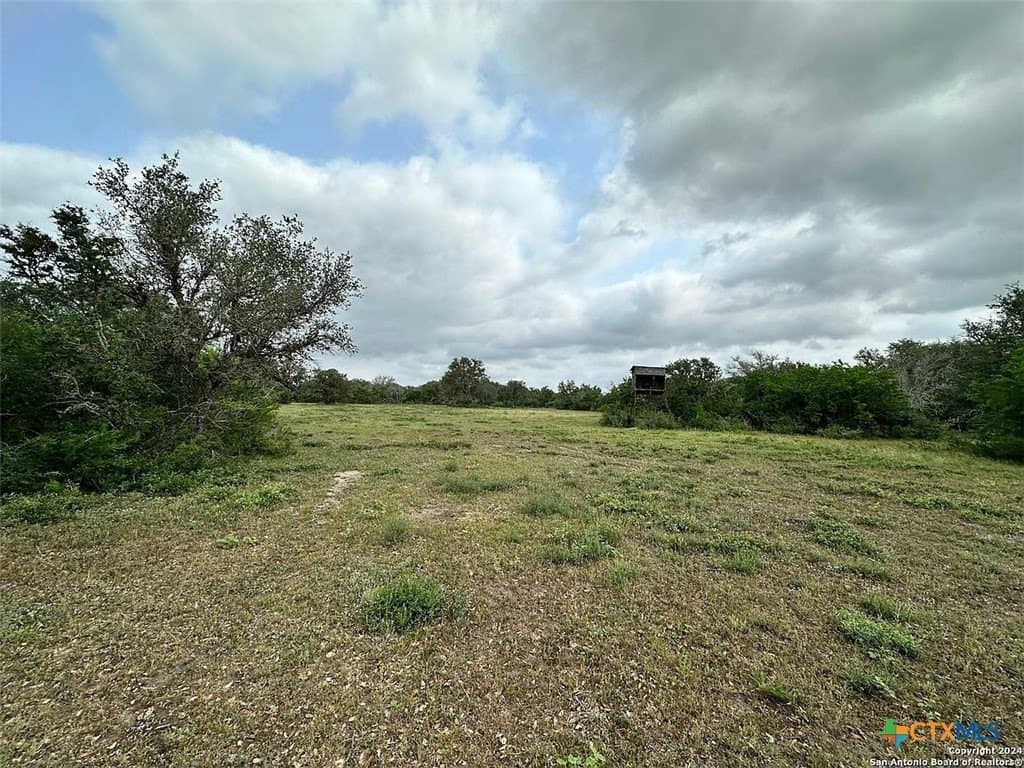 160 acres in Bee County - photo 14
