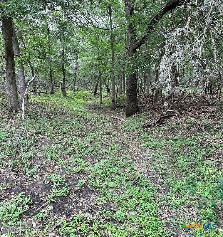 160 acres in Bee County - photo 6