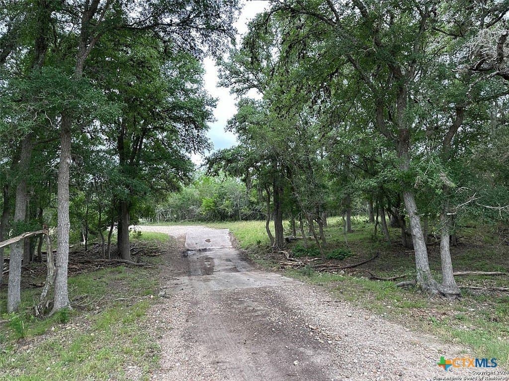 160 acres in Bee County - photo 25