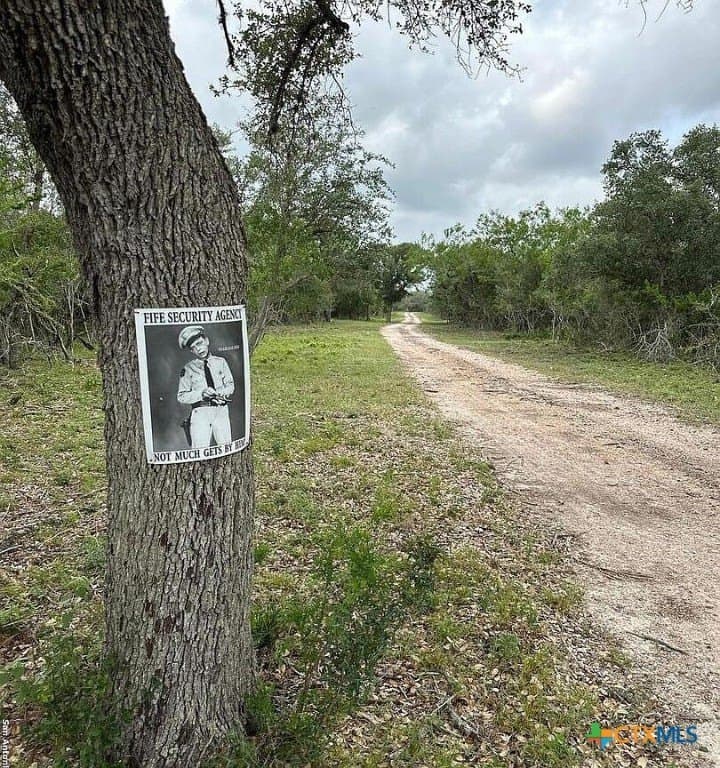160 acres in Bee County - photo 26