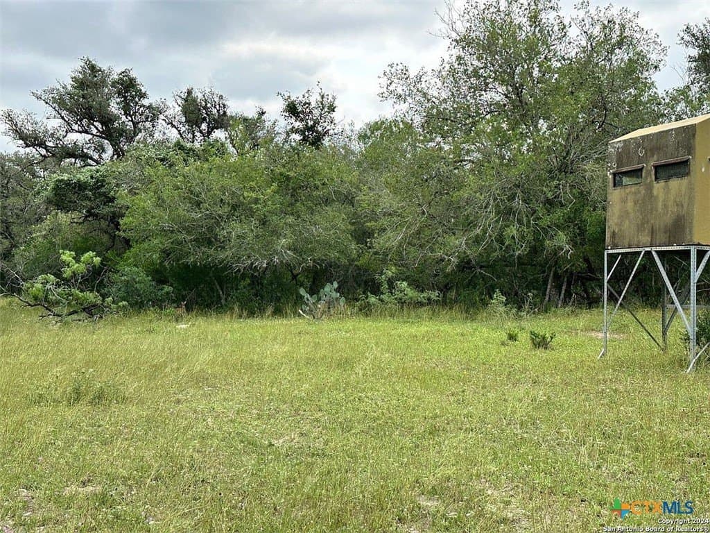 160 acres in Bee County - photo 7