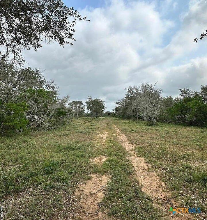 160 acres in Bee County - photo 15