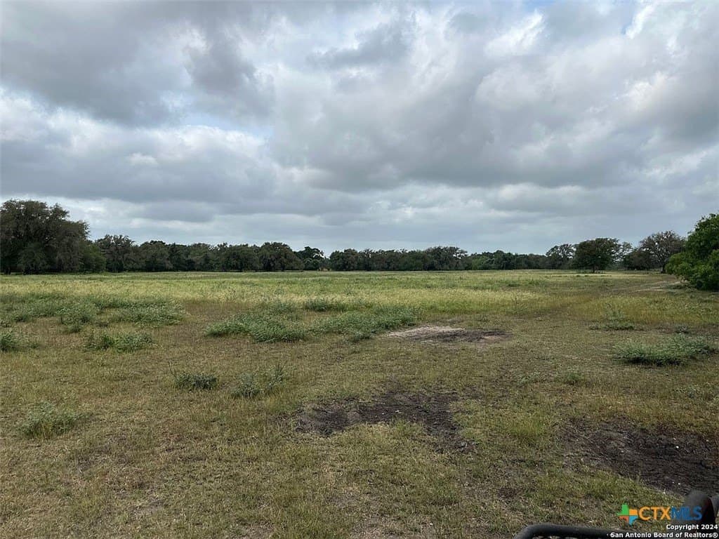 160 acres in Bee County - photo 23