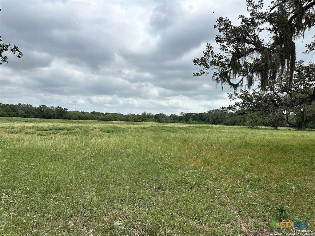 160 acres in Bee County - photo 10