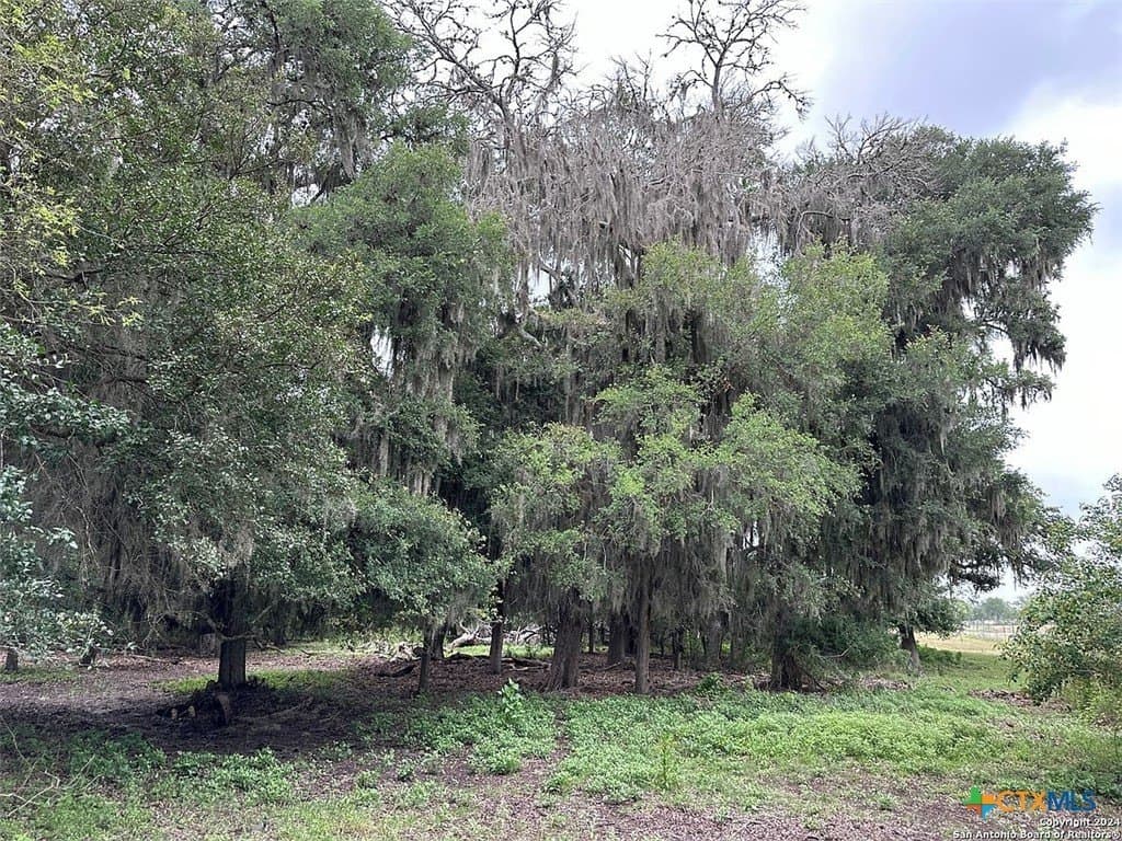 160 acres in Bee County - photo 21