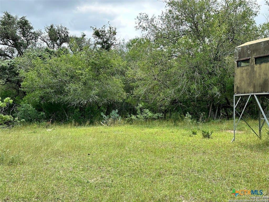 160 acres in Bee County - photo 8