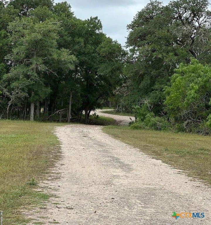 160 acres in Bee County - photo 24