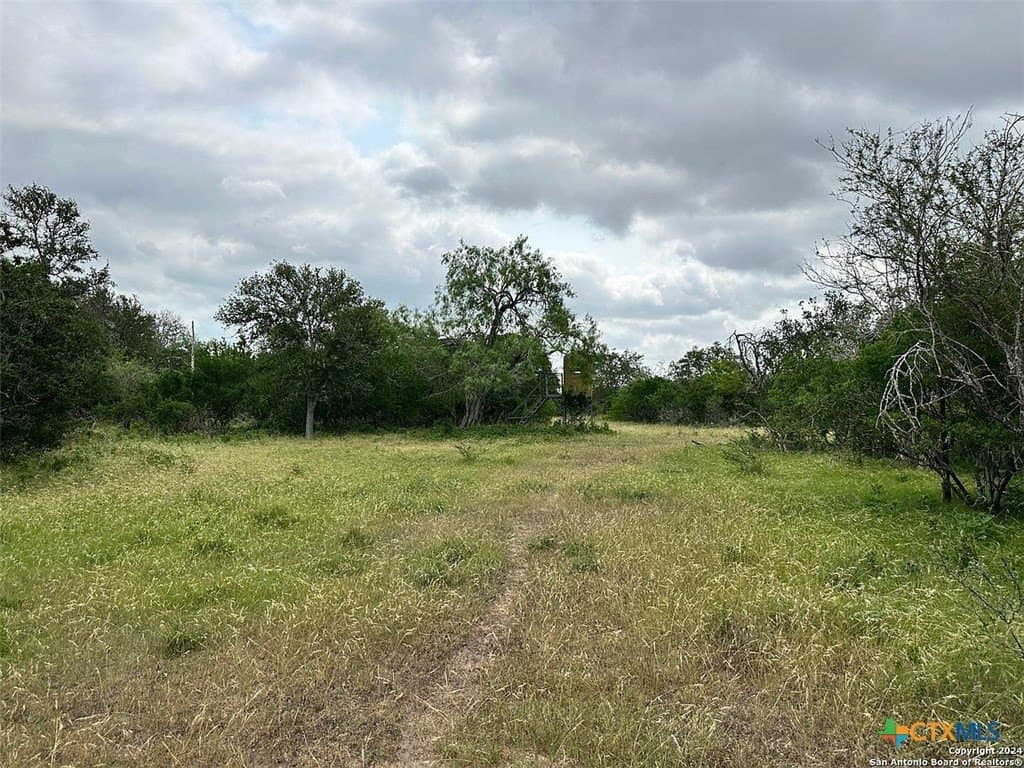 160 acres in Bee County - photo 5