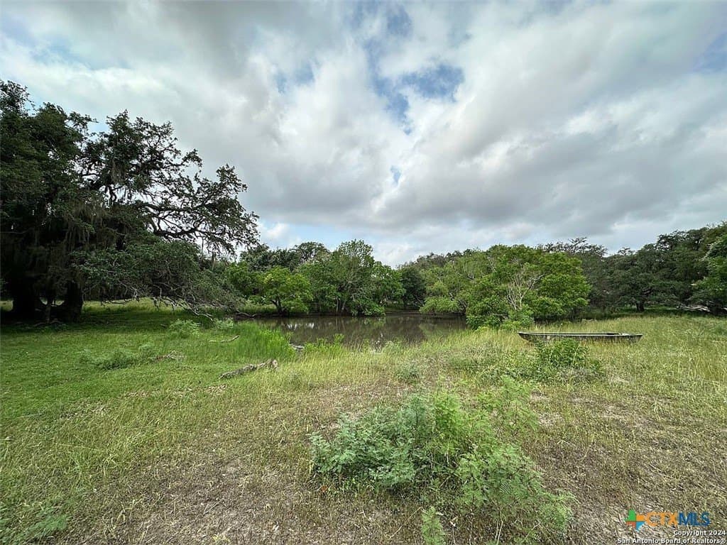 160 acres in Bee County - photo 11