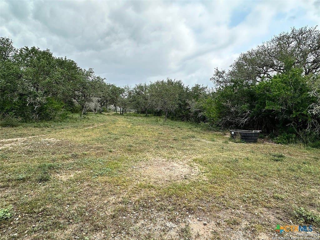 160 acres in Bee County - photo 16